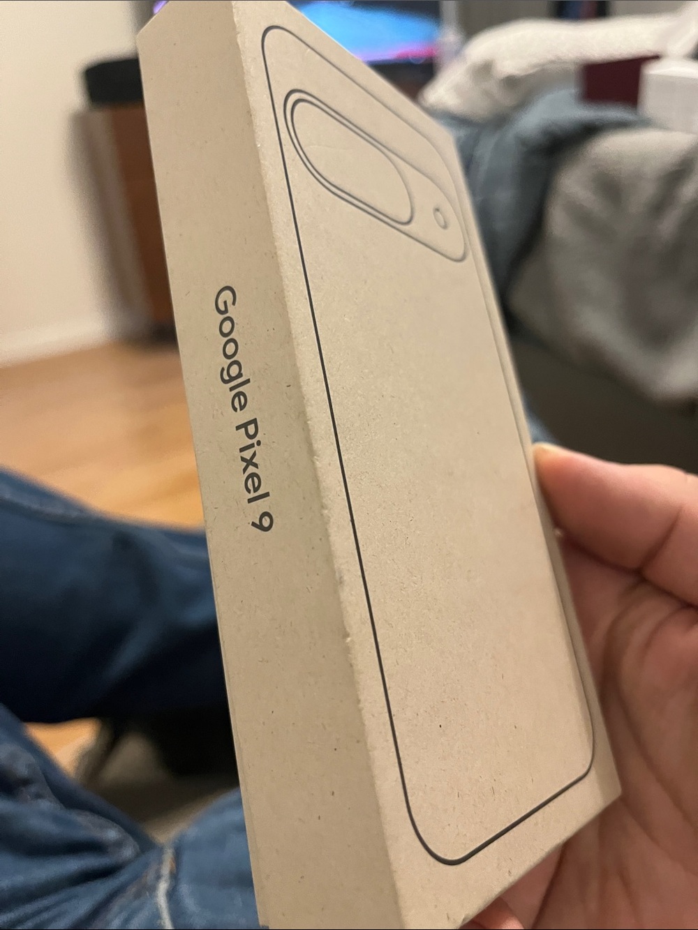 google Pixel 9 Box - Beige Packaging
